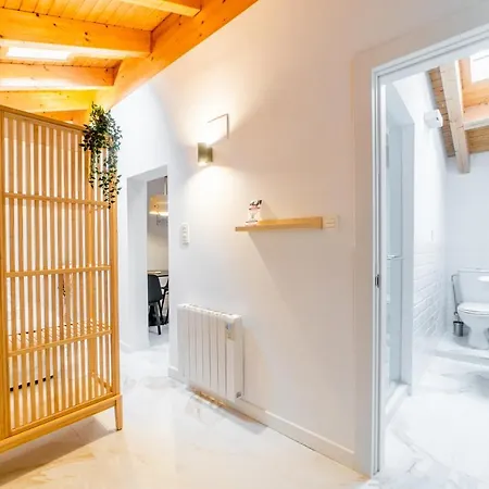 Apartamento Atico Santa Clara Burgo
