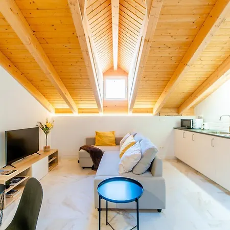 Apartment Atico Santa Clara *