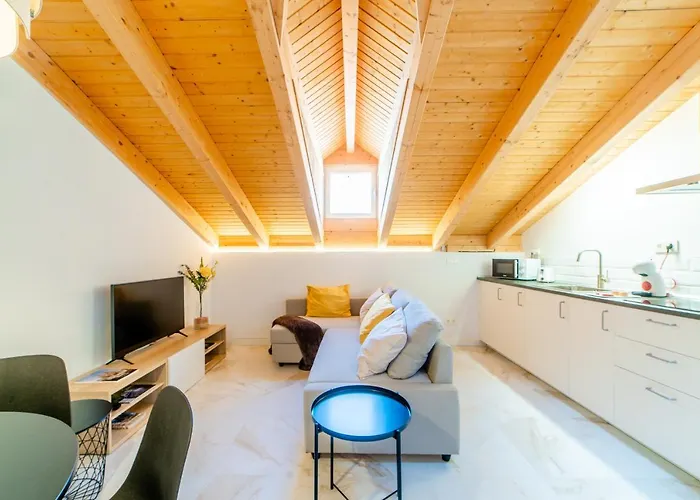 Apartment Atico Santa Clara *